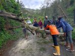 IMG-20250207-WA0067
