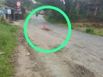 IMG-20250509-WA0034
