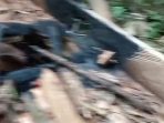 IMG-20250806-WA0364
