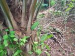 IMG-20250929-WA0418