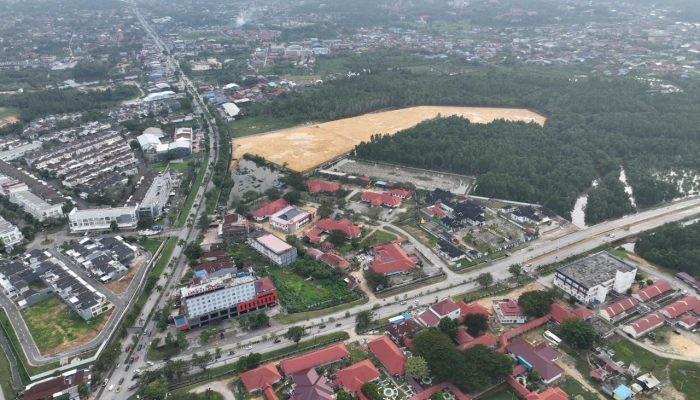Benarkah Lahan Kambu Bisa Dibangun? Mengurai Status APL dan Aturan Mangrove