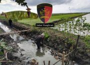 Proyek Irigasi Diduga Asal-Asalan Tanpa Papan Nama di Desa Jatimulyo