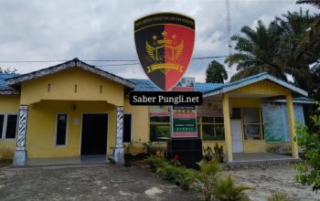 Klarifikasi Penentuan Penerima Bantuan Sosial: Desa Bosar Nauli Harus Pahami Alur Data Nasional