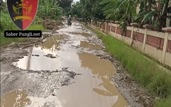 Jalan Raya Kalitengah Dukuh Ngingas RT 7 RW 4 Rusak Parah, Warga Harap Perbaikan Segera