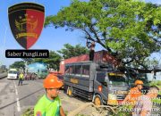 Polres Demak dan BPBD Sigap Evakuasi Pohon Tumbang Akibat Cuaca Ekstrem