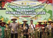 Kapolres Demak Pimpin Panen Raya Jagung, Tegaskan Dukungan Program Strategis Pemerintah