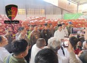 Polda Jateng Proses Hukum Pelaku Penyelundupan Bawang Bombay Ilegal Di Pelabuhan Tanjung Mas