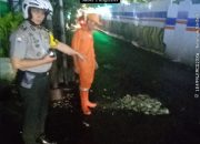 Cegah Kecelakaan, Bhabinkamtibmas Tambora bersama PPSU Timbun Jalan Berlubang