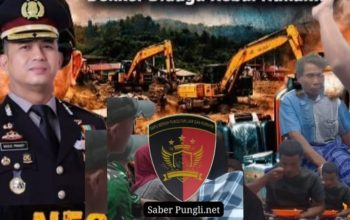 Kapolres Madina AKBP Bagus Priyandy Pastikan Kasus PETI Muara Pungkut Sedang Ditangani Aparat