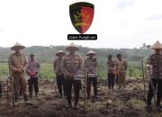 Sinergi Polisi dan Petani, Polres Demak Tanam Jagung Serentak di Karangawen