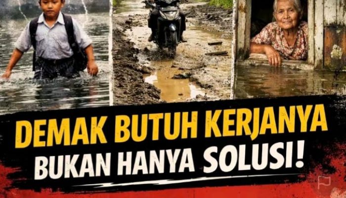 Dua Dekade Pemerintahan Kabupaten Demak: Solusi Nyata atau Jalan di Tempat?