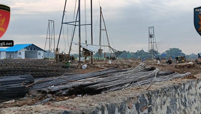 Kontroversi Lahan Bengkok & Kawasan Pangan di Jepara Dialih Fungsikan Jadi Gardu Induk PLN, Warga Tolak Keras