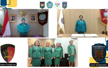 Ketum TP PKK Tekankan Penguatan Peran PKK dan Posyandu di Papua Selatan