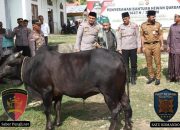 Sambangi Aceh Timur, Kapolda Aceh Serahkan Sapi Kurban ke Dayah Al Maimanah Jelang Hari Raya Iduladha 1447 H