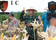 Panen Raya Jagung Serentak 2026, Polres Kuningan Perkuat Ketahanan Pangan dan Dukung Visi Swasembada Nasional