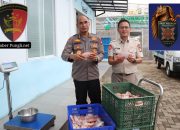 Panen Parsial Ke-3, Greenhouse Palmerah Jakarta Barat Hasilkan Ratusan Kilogram Ikan Nila Merah