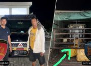 Kasus BBM Subsidi di Tapsel Diduga Ditutup-Tutupi, SPBU Pemasok Belum Tersentuh Hukum