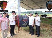 Berbagi Berkah Idul Adha 1447 Hijriah, Polda Kalteng Salurkan 246 Hewan Kurban untuk Masyarakat dan Personel