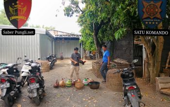 Berawal dari Laporan 110, Polisi Gerebek Dugaan Sabung Ayam di Bae Kudus
