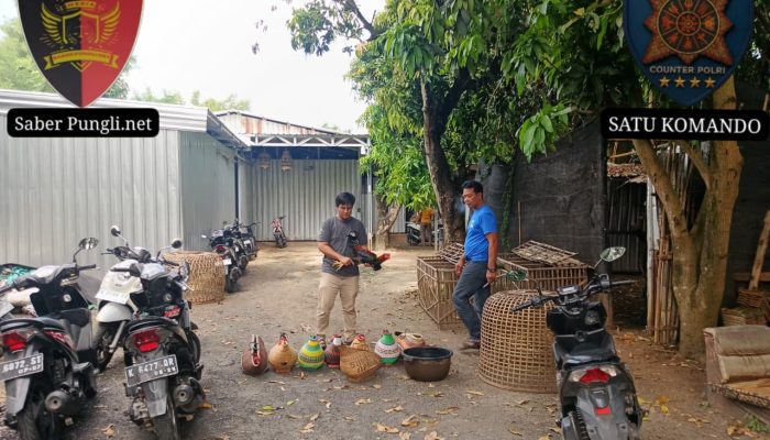 Berawal dari Laporan 110, Polisi Gerebek Dugaan Sabung Ayam di Bae Kudus