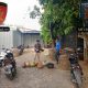 Berawal dari Laporan 110, Polisi Gerebek Dugaan Sabung Ayam di Bae Kudus