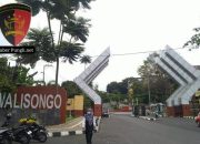 PTUN Semarang Nyatakan Penggugat Terbukti Melakukan Plagiasi Dengan Bobot 31%