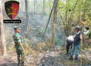 Semak Belukar Hutan Geyer Terbakar Petugas Gabungan Padamkan Api Dengan Alat Seadanya