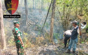 Semak Belukar Hutan Geyer Terbakar Petugas Gabungan Padamkan Api Dengan Alat Seadanya