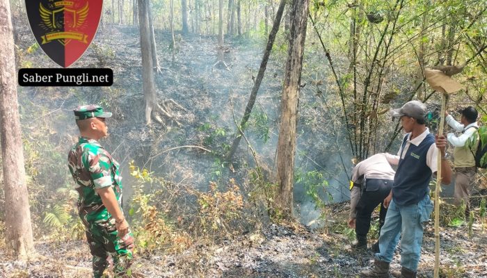 Semak Belukar Hutan Geyer Terbakar Petugas Gabungan Padamkan Api Dengan Alat Seadanya