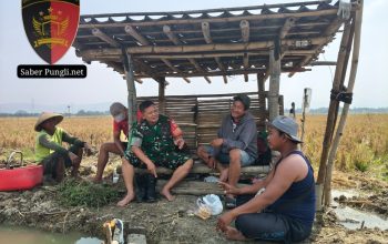 PERERAT SILATURAHMI, BABINSA DESA KARANGSARI LAKSANAKAN KOMSOS BERSAMA PETANI BAWANG