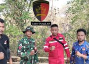 Aksi Cepat Tanggap Anggota Koramil 17 Kradenan dan Petugas Gabungan Berhasil Padamkan Api di Hutan Simo