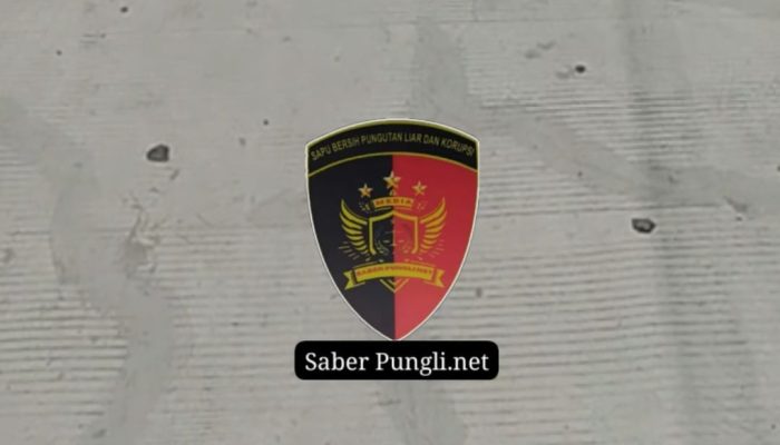 Betonisasi Bangub Desa Guntur Disorot, Warga Pertanyakan Mutu dan Transparansi Proyek
