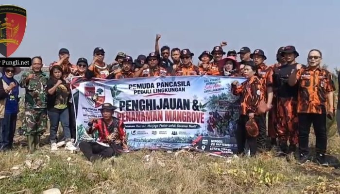 Pemuda Pancasila Semarang Bergerak, Tanam Mangrove di Pulau Tirang untuk Jaga Ekosistem Pesisir