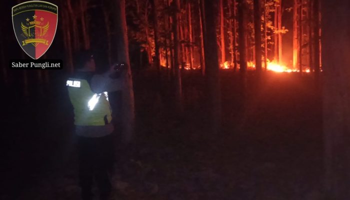 Kobaran Api di Lahan Perhutani Keling Berhasil Dijinakkan, Kapolres Jepara Imbau Warga Waspada Karhutla
