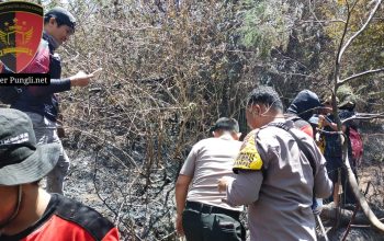 Gerak Cepat Polsek Ampel dan Relawan Padamkan Kebakaran Hutan Merbabu