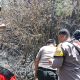 Gerak Cepat Polsek Ampel dan Relawan Padamkan Kebakaran Hutan Merbabu